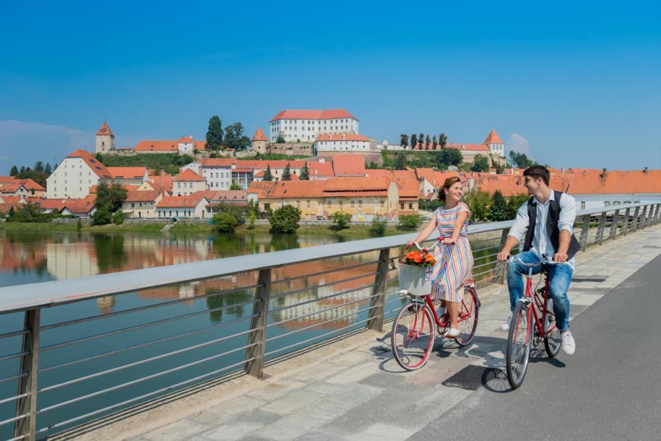 Turisticna Kmetija Hisa Ob Gozdu Pri Ptuju Villa Eksteriør billede